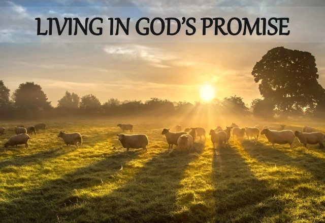 Living in Gods Promises