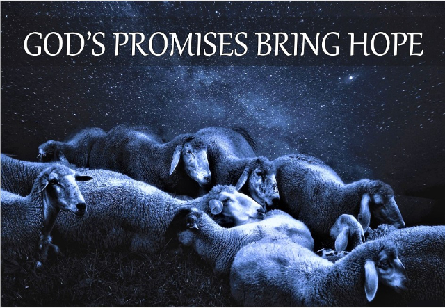 Gods Promises Bring Hope